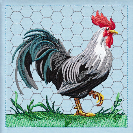 Chicken Build-a-Scene Square 4 (Applique)