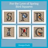 A For the Love of Spring Bird Squares Design Pack