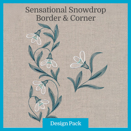 A Sensational Snowdrop Border & Corner
