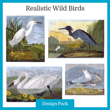 Realistic Wild Bird Design Pack