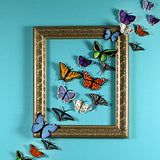 Free-Flying Butterflies & Moths (In-the-Hoop) Design Pack