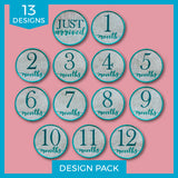 First Year Milestone Markers (In-the-Hoop) Design Pack