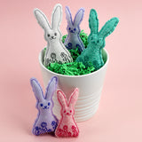 Rustic Spring Bunny Stuffie (In-the-Hoop)