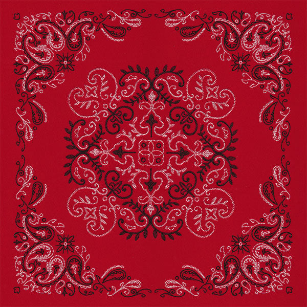 Delicate Paisley Pattern Bandana Pillow Pair