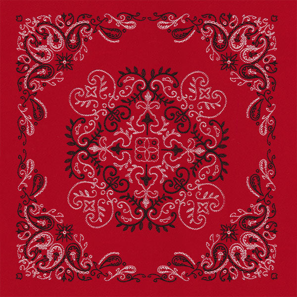 Delicate Paisley Pattern Bandana Pillow Pair