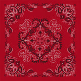 Delicate Paisley Pattern Bandana Pillow Pair
