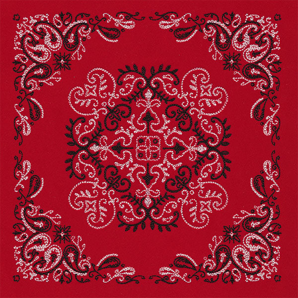 Delicate Paisley Pattern Bandana Pillow Pair