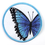 True Beauty Butterfly Coaster - Blue Morpho (In-the-Hoop)