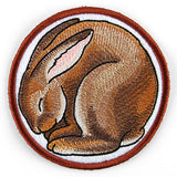 Sleeping Animal Coaster - Bunny (In-the-Hoop)