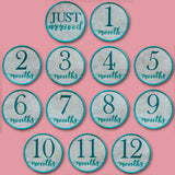 First Year Milestone Marker - Three Months (In-the-Hoop)