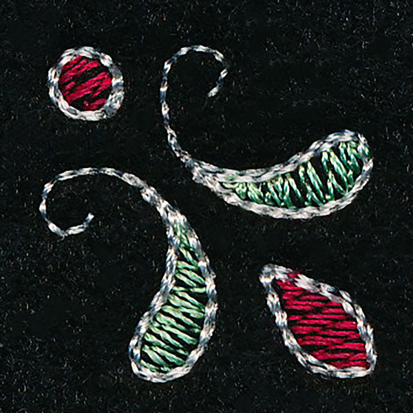 Peppermint Swirls Frame