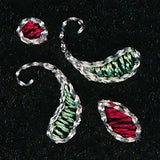 Peppermint Swirls Frame