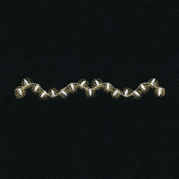 Holiday Lights Frame