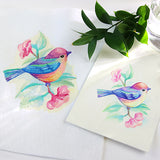 Charming Bird in Watercolor