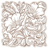 Evening Desert Primrose Square