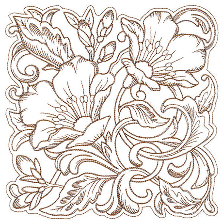 Evening Desert Primrose Square