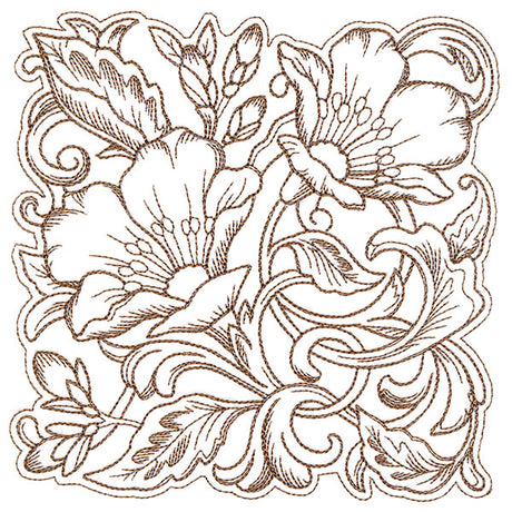 Evening Desert Primrose Square