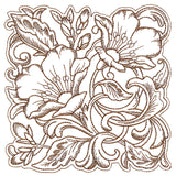 Evening Desert Primrose Square