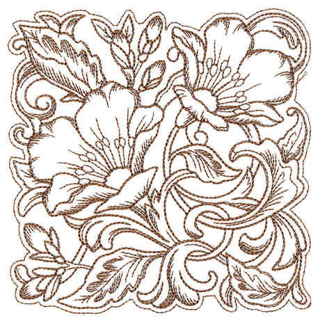 Evening Desert Primrose Square