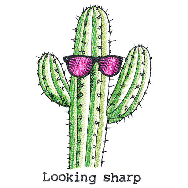 Looking Sharp Cactus