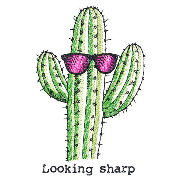 Looking Sharp Cactus