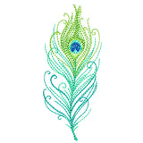 Delicate Peacock Feather