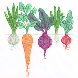 Rooting For You Garden Veggies Border