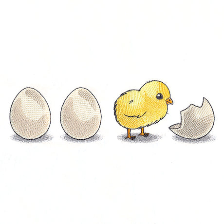 Counting Your Chickens Border