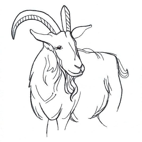 Simple Farm Sketch - Goat
