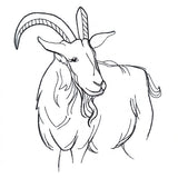Simple Farm Sketch - Goat