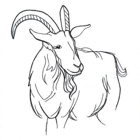 Simple Farm Sketch - Goat