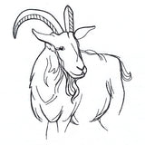Simple Farm Sketch - Goat