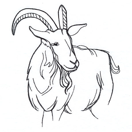 Simple Farm Sketch - Goat