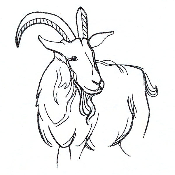 Simple Farm Sketch - Goat