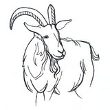Simple Farm Sketch - Goat