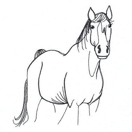 Simple Farm Sketch - Horse