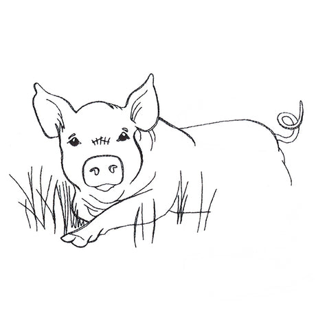 Simple Farm Sketch - Pig