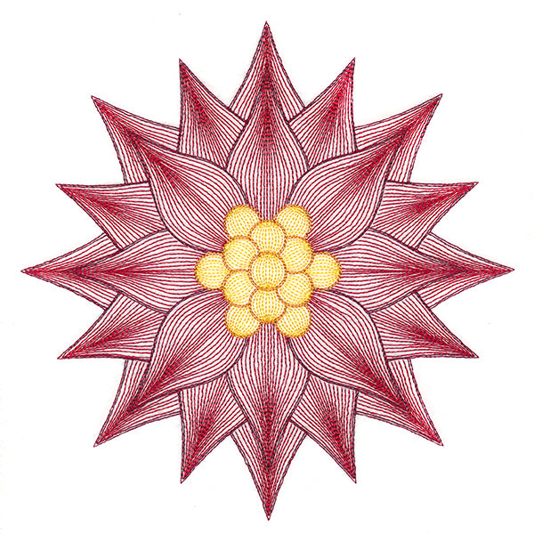 Mesmerizing Poinsettia