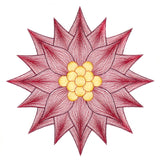 Mesmerizing Poinsettia