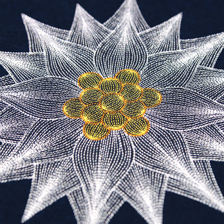 Mesmerizing Poinsettia