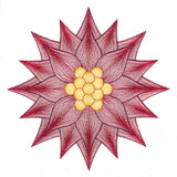 Mesmerizing Poinsettia