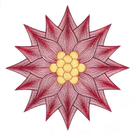 Mesmerizing Poinsettia