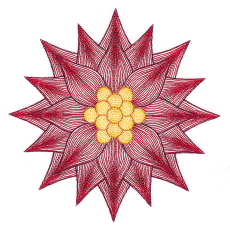 Mesmerizing Poinsettia