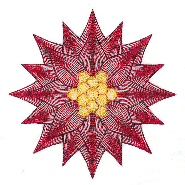 Mesmerizing Poinsettia