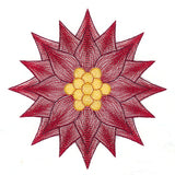 Mesmerizing Poinsettia