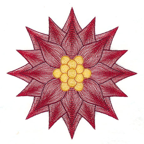 Mesmerizing Poinsettia