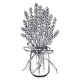 Lavender Canning Jar Bouquet Etching