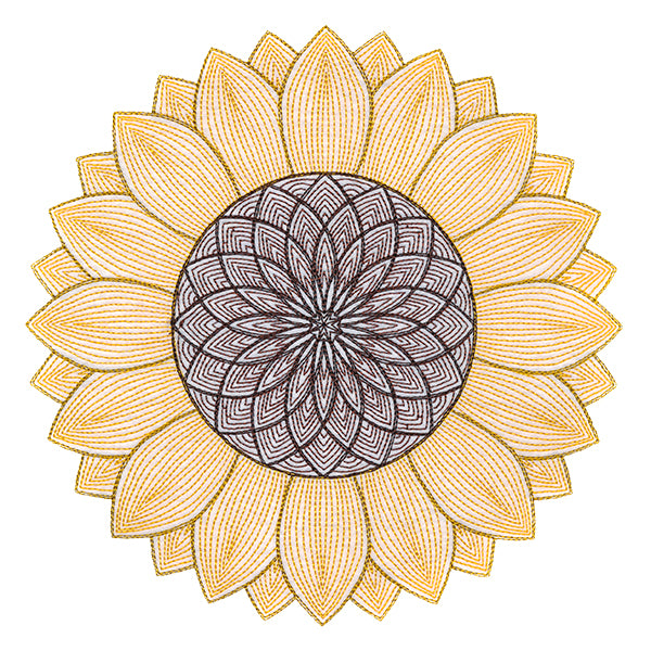 Mesmerizing Sunflower