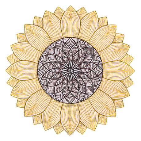 Mesmerizing Sunflower