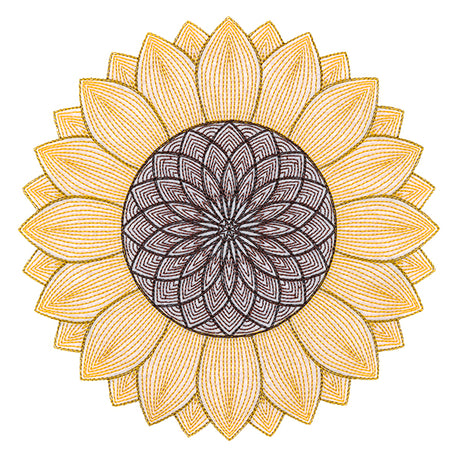 Mesmerizing Sunflower